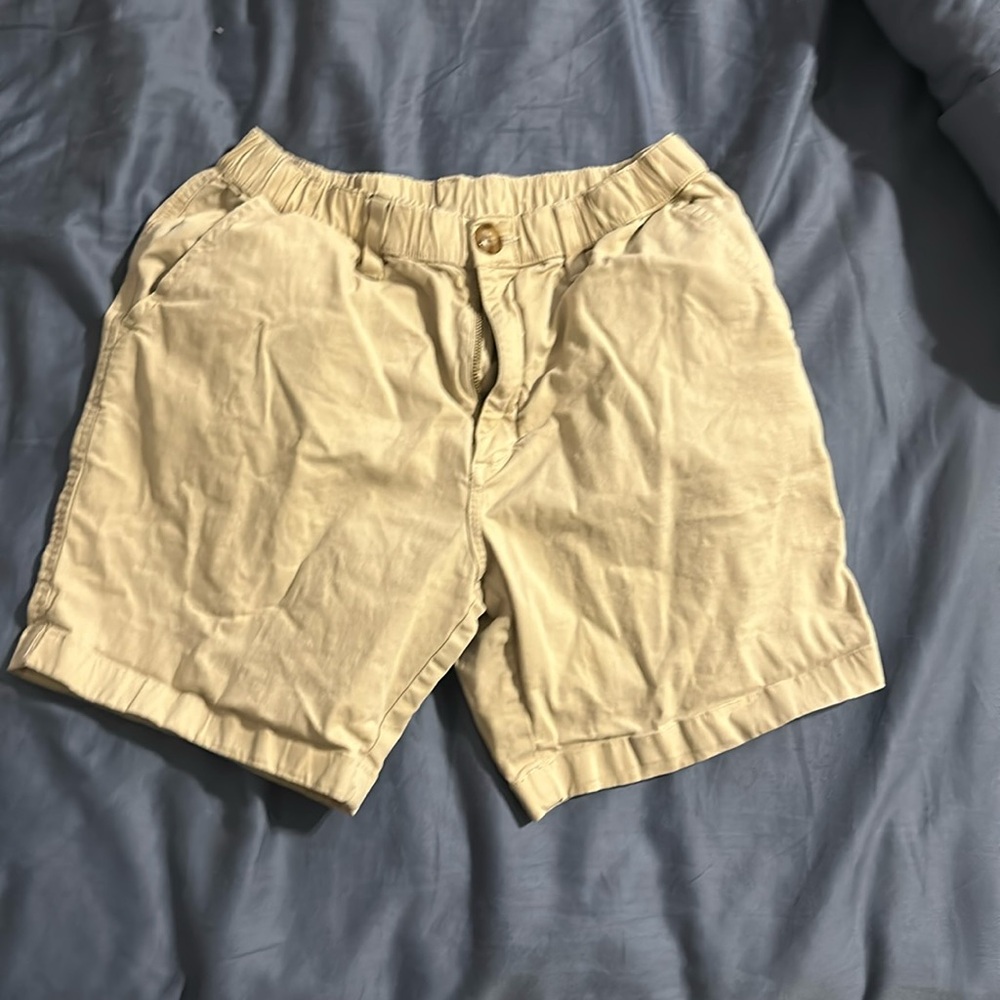 Chubbies shorts